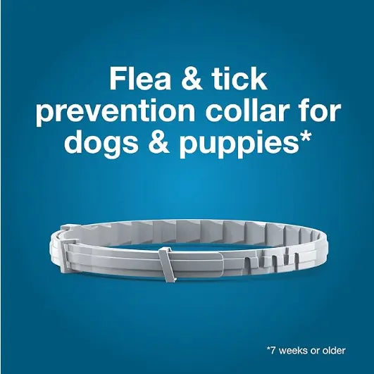 Seresto Flea & Tick Collar For Dogs Over 18 lbs., Treatment & Prevention, Vet-Recommend, 8 Month Protection