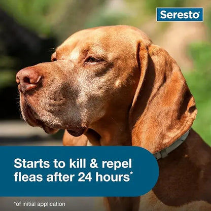 Seresto Flea & Tick Collar For Dogs Over 18 lbs., Treatment & Prevention, Vet-Recommend, 8 Month Protection