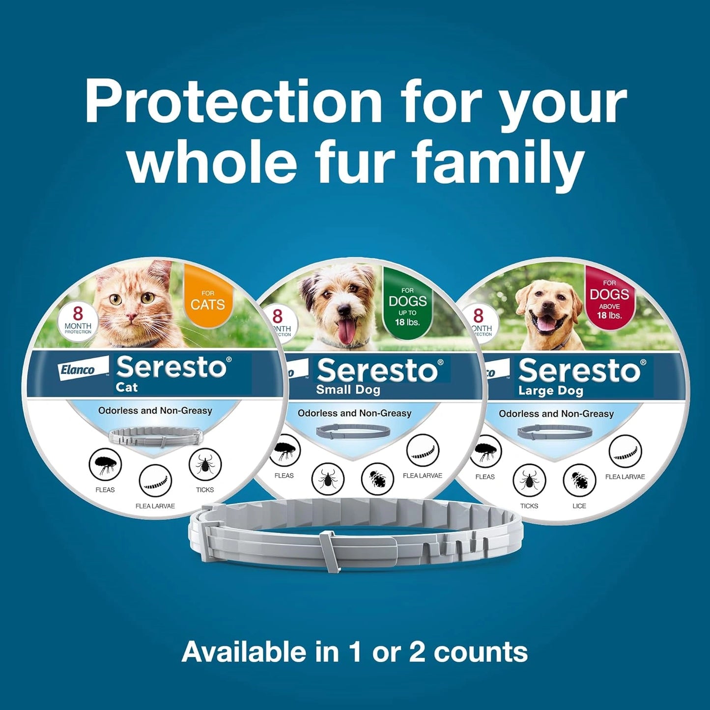 Seresto Cat Vet-Recommended Flea & Tick Treatment & Prevention Collar for Cats | 8 Months Protection