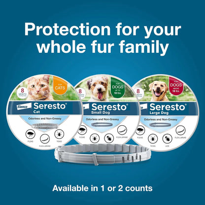 Seresto Cat Vet-Recommended Flea & Tick Treatment & Prevention Collar for Cats | 8 Months Protection